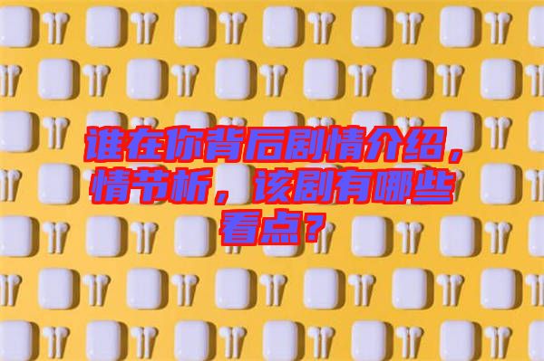 誰(shuí)在你背后劇情介紹，情節(jié)析，該劇有哪些看點(diǎn)？