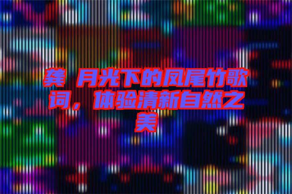 龔玥月光下的鳳尾竹歌詞，體驗(yàn)清新自然之美