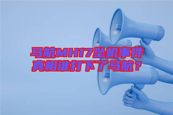 馬航MH17墜機(jī)事件真相誰打下了馬航？