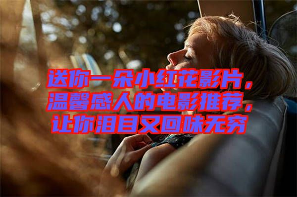 送你一朵小紅花影片，溫馨感人的電影推薦，讓你淚目又回味無(wú)窮