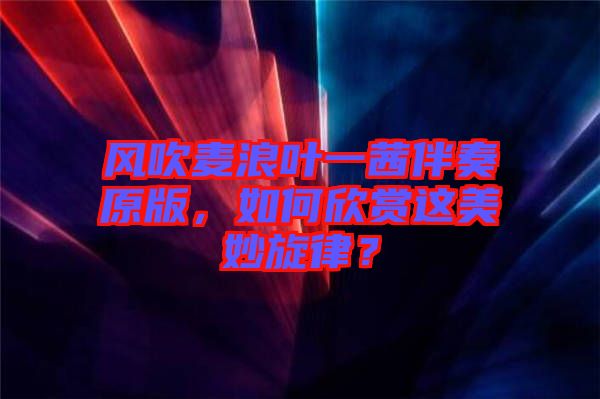 風(fēng)吹麥浪葉一茜伴奏原版，如何欣賞這美妙旋律？