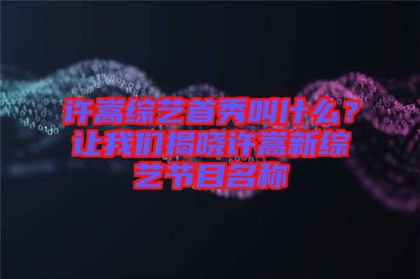 許嵩綜藝首秀叫什么？讓我們揭曉許嵩新綜藝節(jié)目名稱