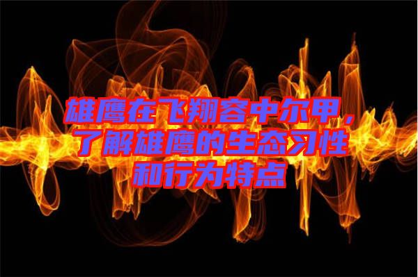 雄鷹在飛翔容中爾甲，了解雄鷹的生態(tài)習(xí)性和行為特點(diǎn)