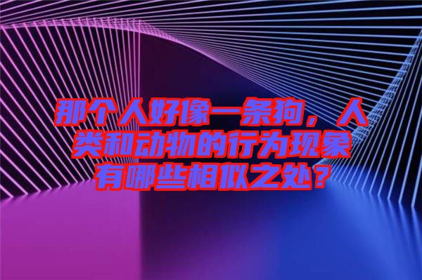 那個(gè)人好像一條狗，人類和動(dòng)物的行為現(xiàn)象有哪些相似之處？