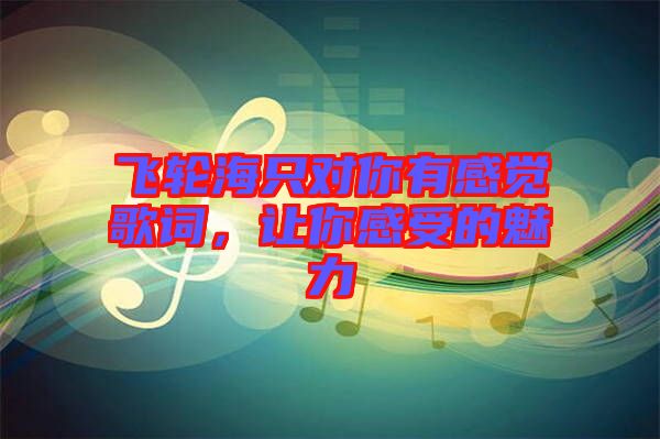 飛輪海只對(duì)你有感覺(jué)歌詞，讓你感受的魅力