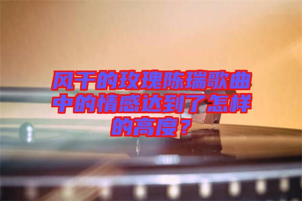 風(fēng)干的玫瑰陳瑞歌曲中的情感達(dá)到了怎樣的高度？