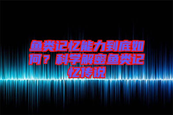 魚類記憶能力到底如何？科學解密魚類記憶傳說