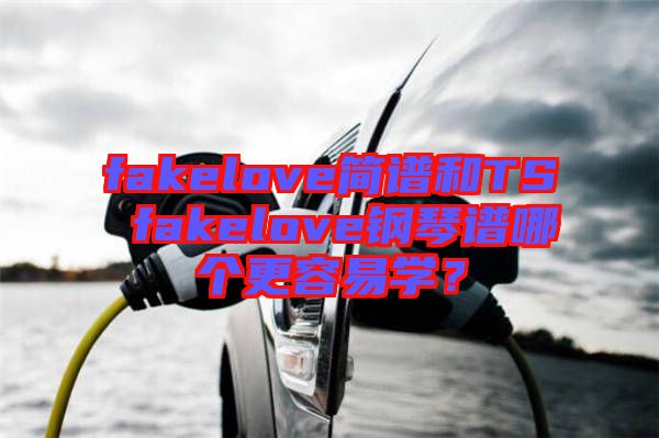 fakelove簡(jiǎn)譜和TS fakelove鋼琴譜哪個(gè)更容易學(xué)？