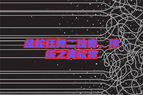 金蛇狂舞二獨奏，傳統(tǒng)之美欣賞