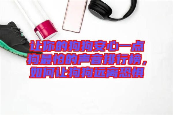 讓你的狗狗安心一點(diǎn)狗最怕的聲音排行榜，如何讓狗狗遠(yuǎn)離恐懼