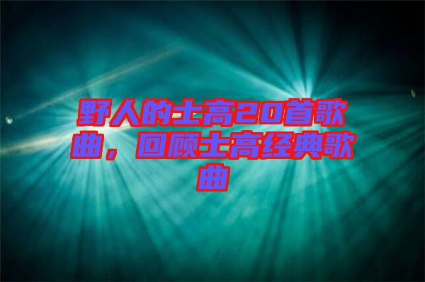 野人的士高20首歌曲，回顧士高經(jīng)典歌曲